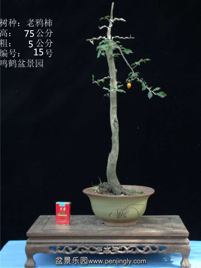 GEDC2778.JPG