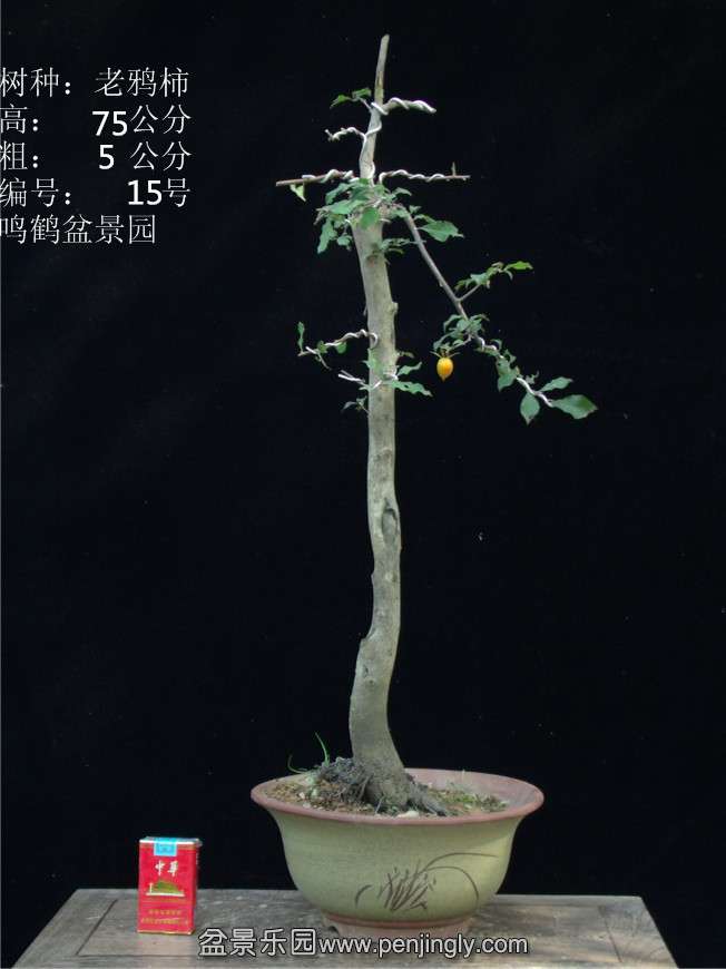 GEDC2779.JPG
