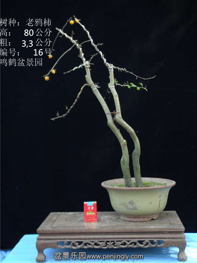 GEDC2790.JPG