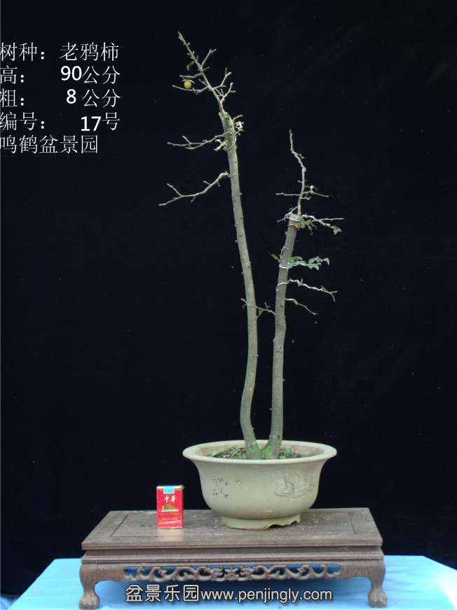 GEDC2795.JPG