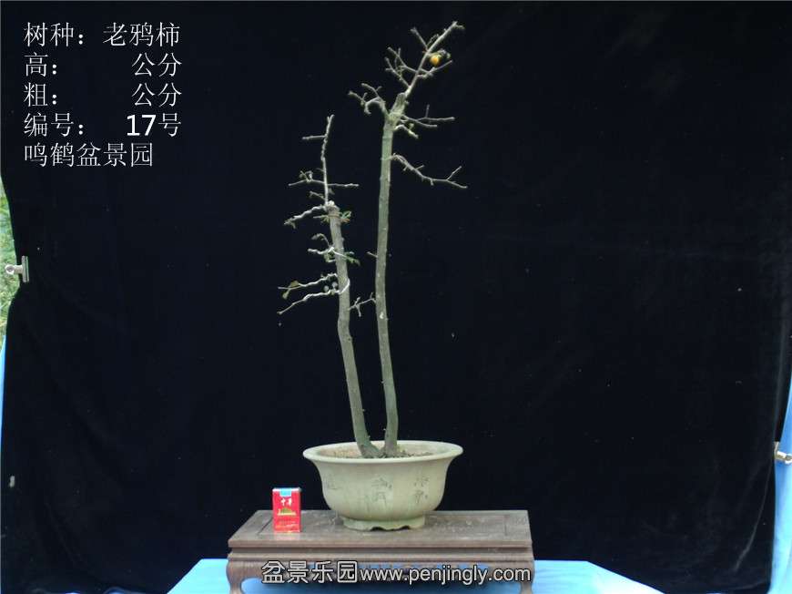GEDC2797.JPG