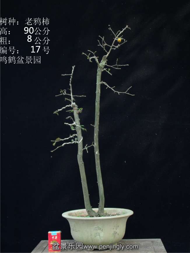 GEDC2799.JPG