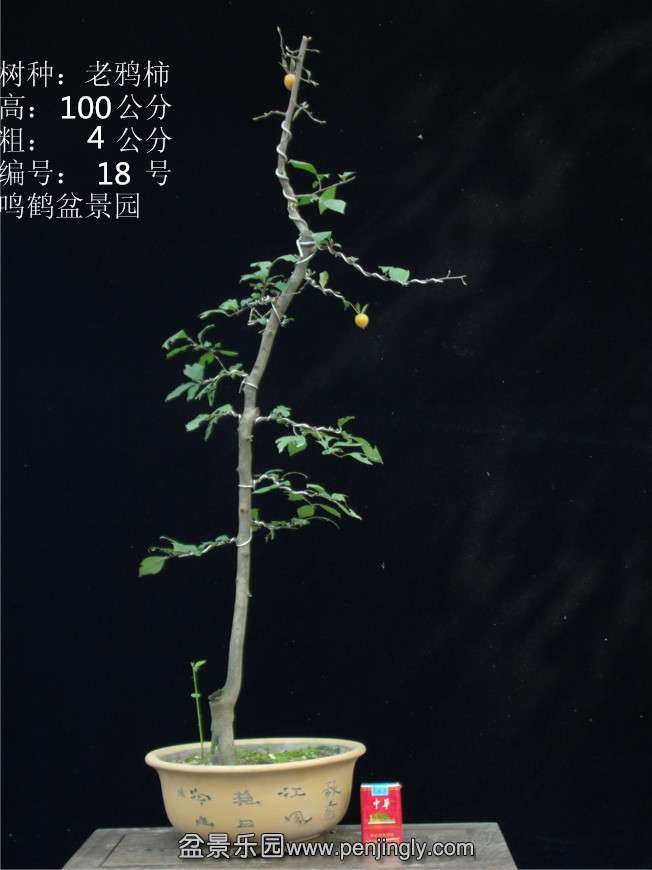 GEDC2801.JPG