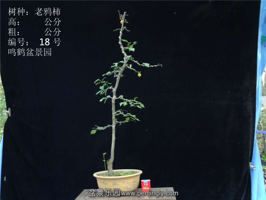 GEDC2803.JPG