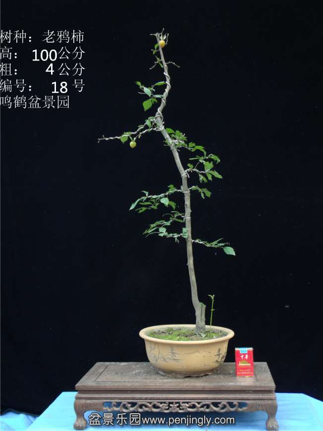 GEDC2806.JPG