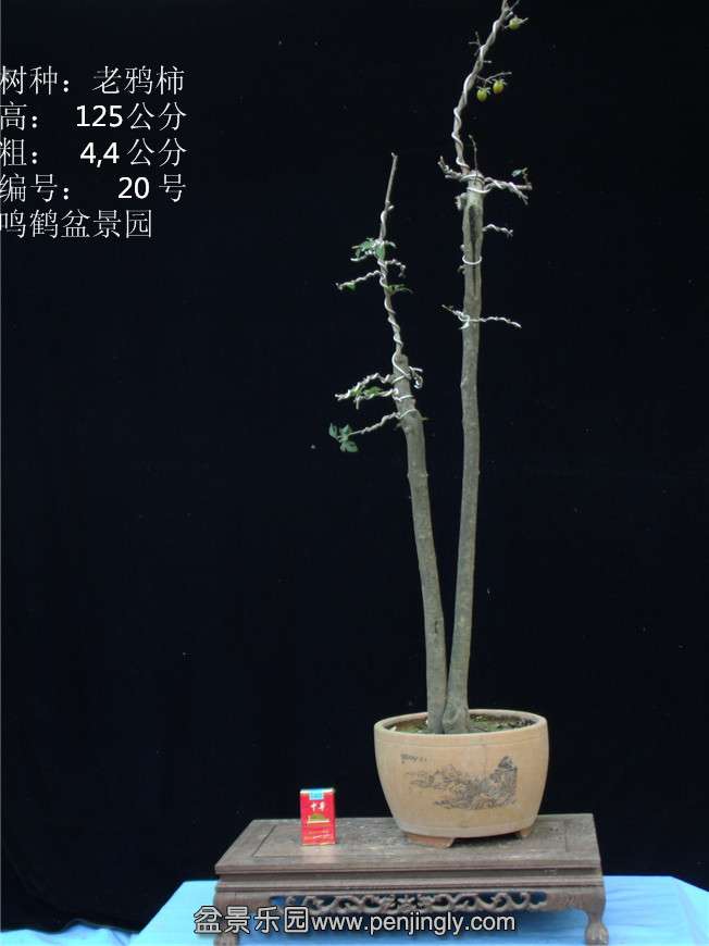 GEDC2816.JPG