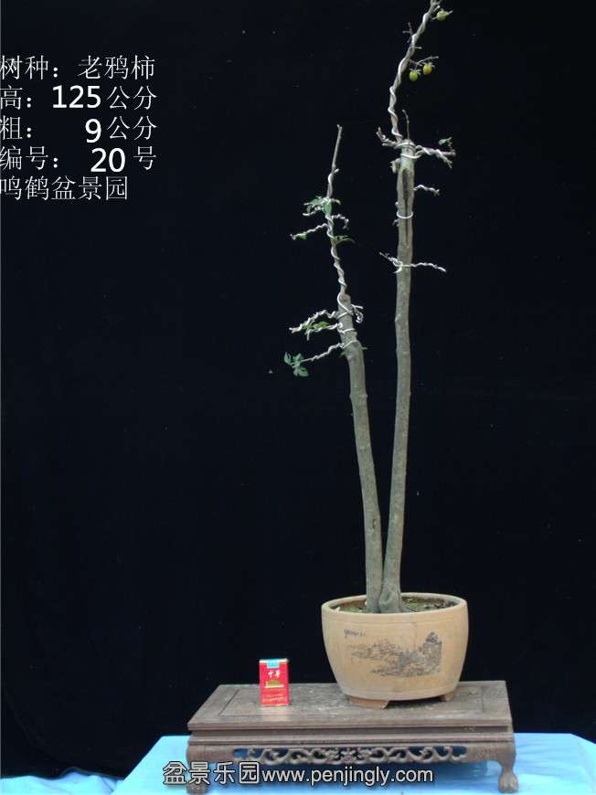 GEDC2817.JPG