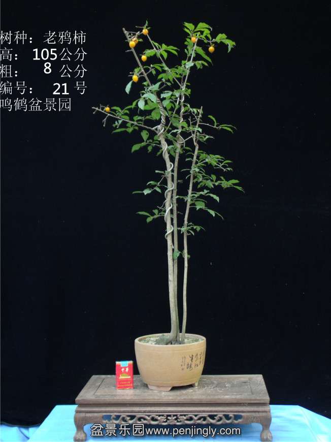 GEDC2821.JPG