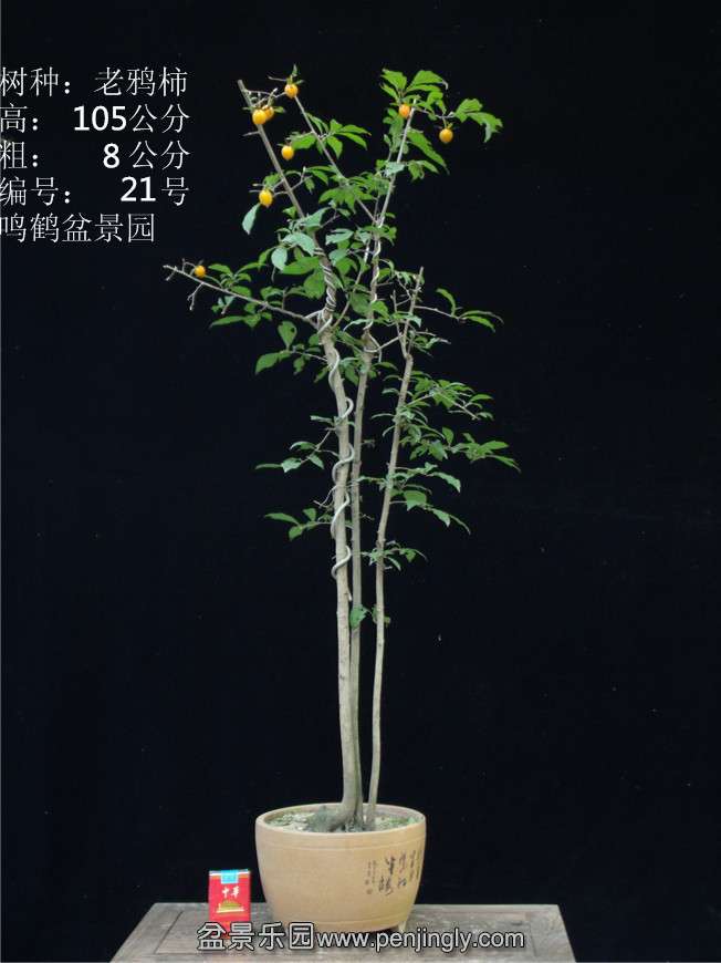 GEDC2822.JPG