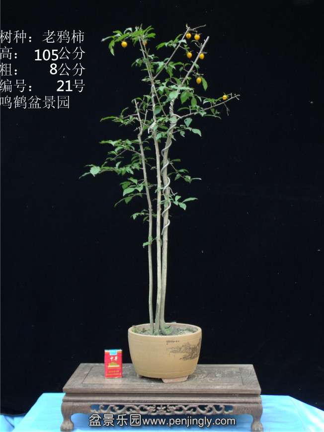 GEDC2826.JPG