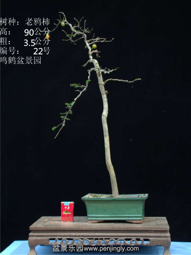 GEDC2827.JPG