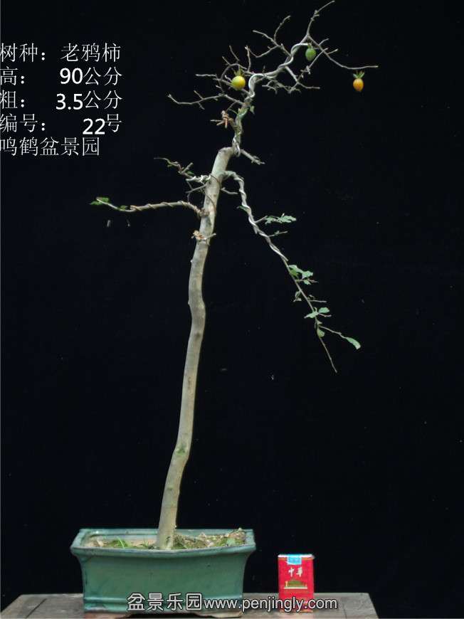 GEDC2829.JPG