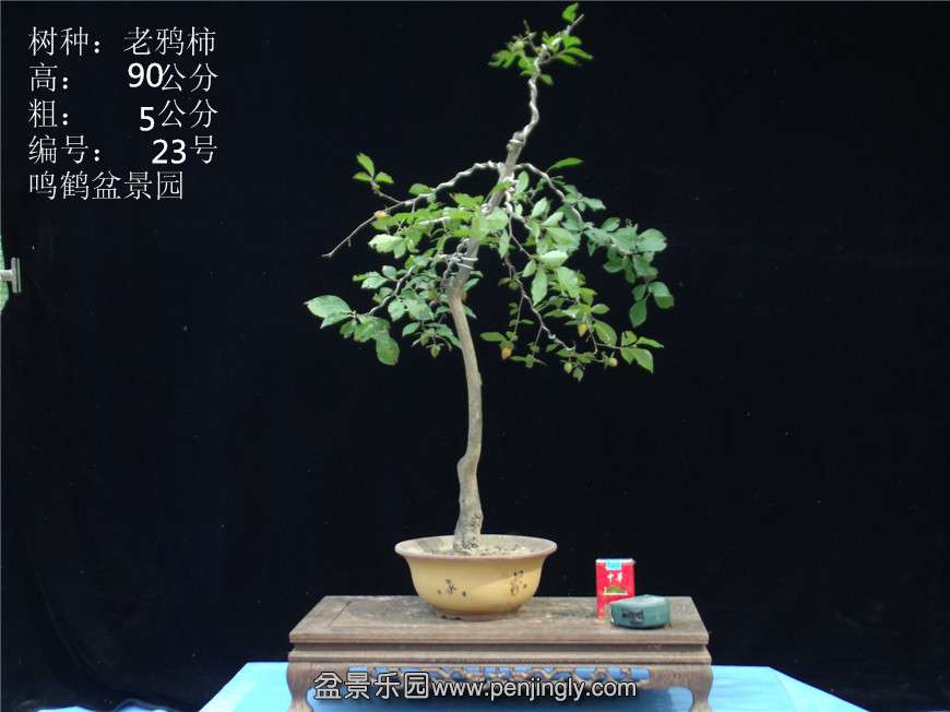GEDC2832.JPG