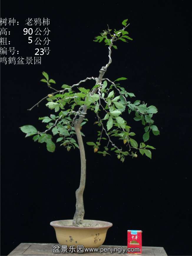 GEDC2834.JPG