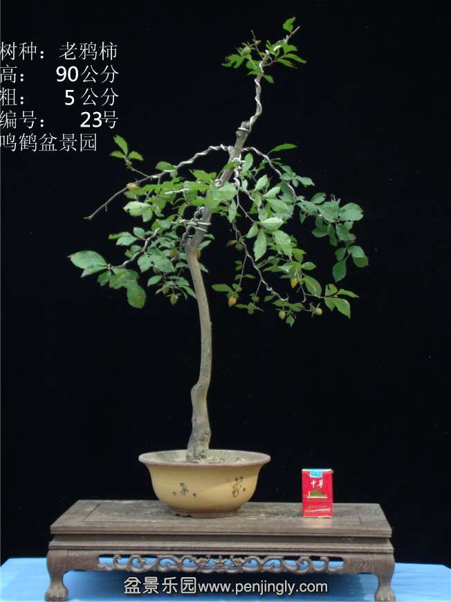 GEDC2835.JPG