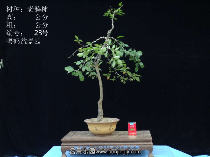 GEDC2836.JPG