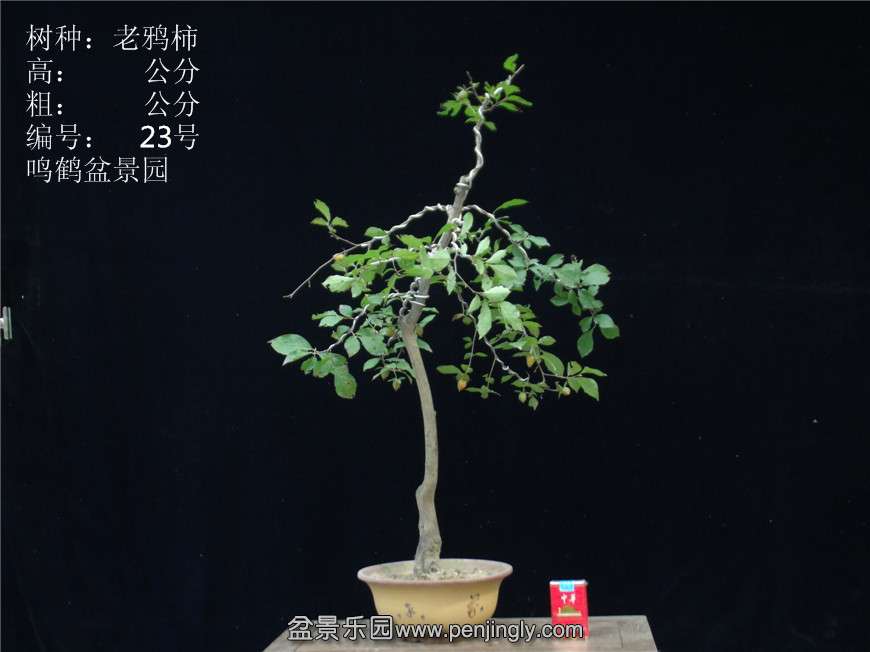 GEDC2837.JPG