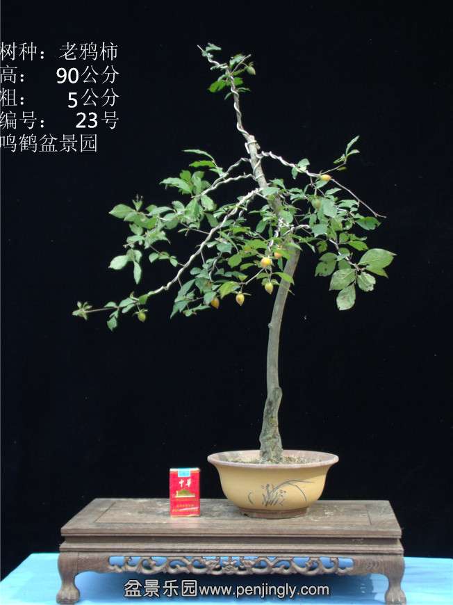 GEDC2840.JPG