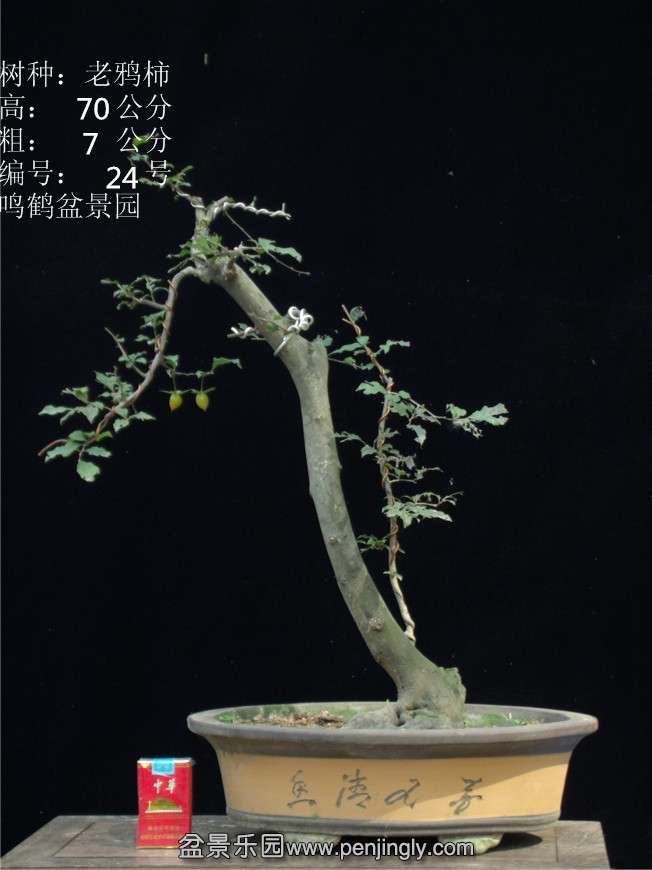 GEDC2853.JPG