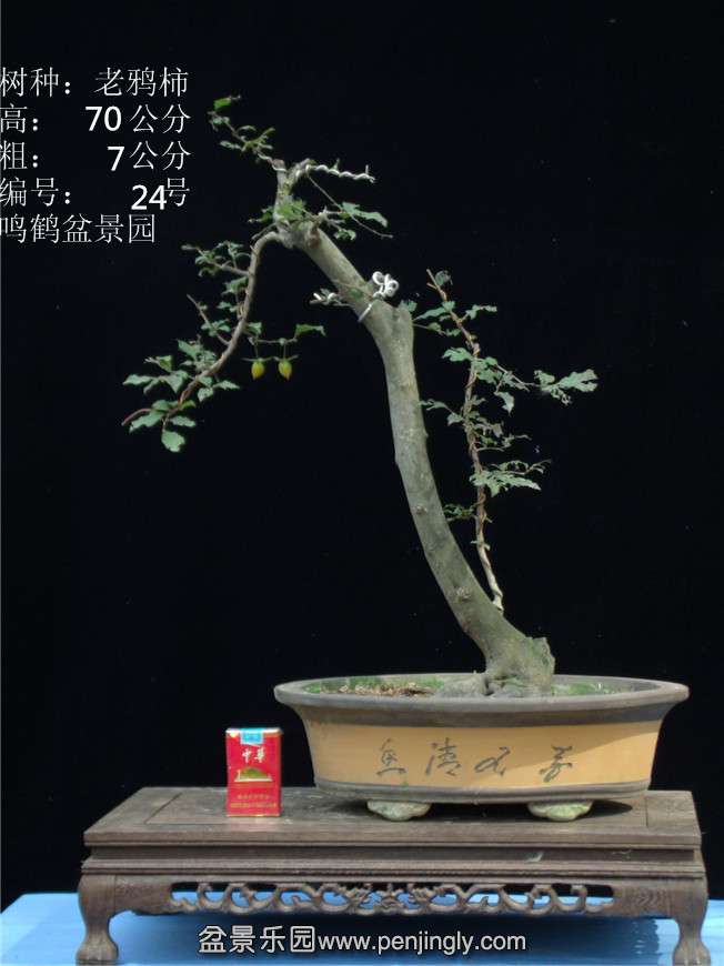 GEDC2854.JPG