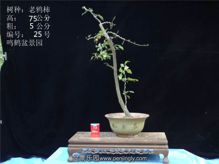 GEDC2855.JPG