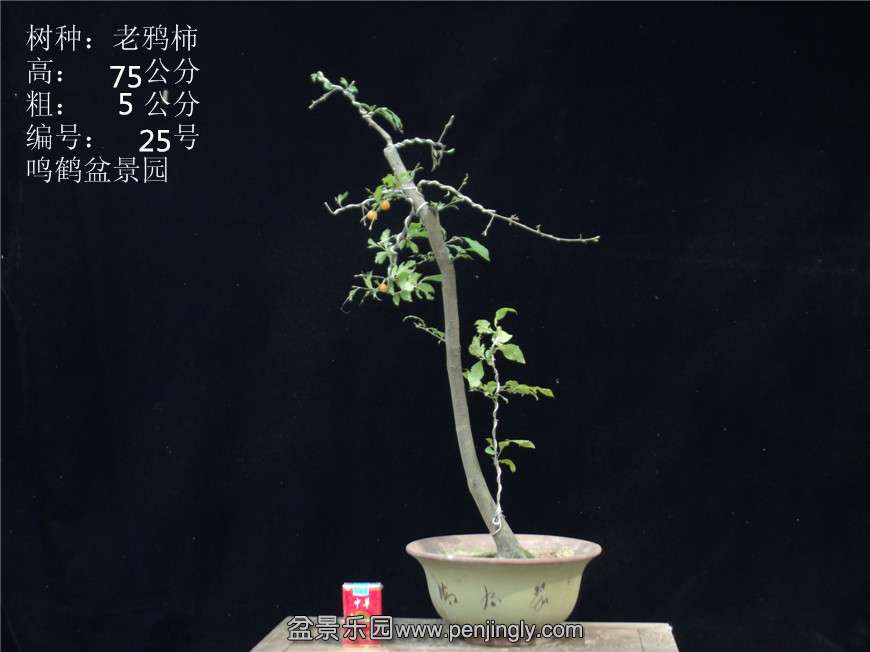 GEDC2856.JPG