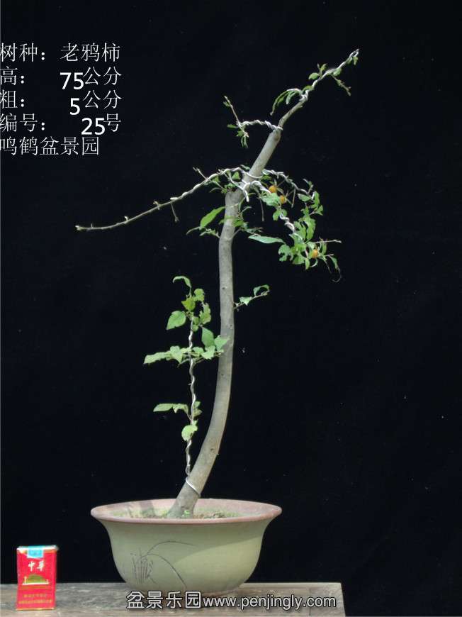 GEDC2861.JPG