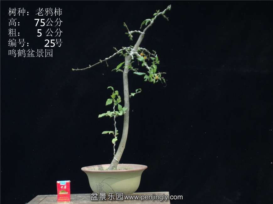 GEDC2862.JPG
