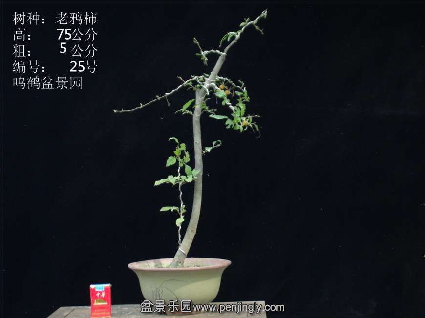 GEDC2863.JPG
