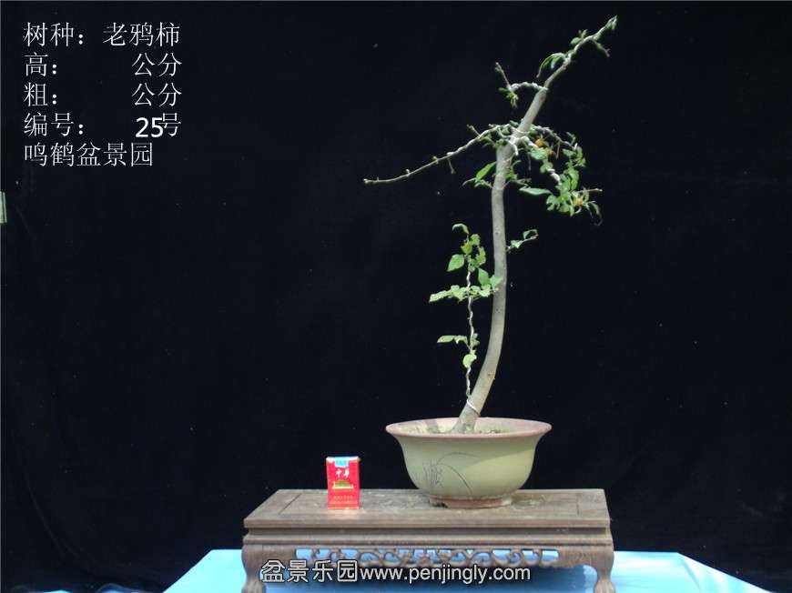 GEDC2864.JPG