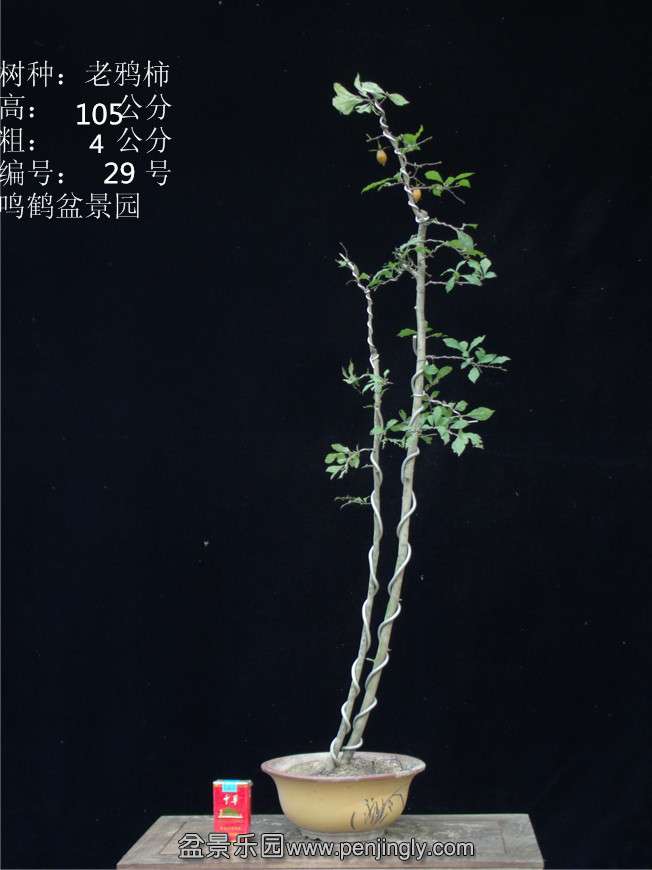 GEDC2892.JPG