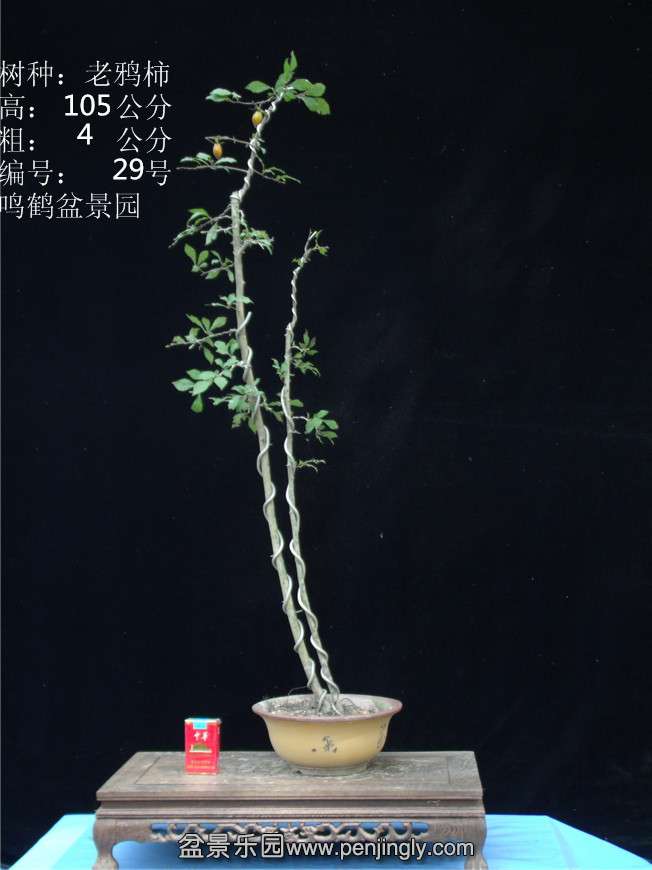 GEDC2893.JPG