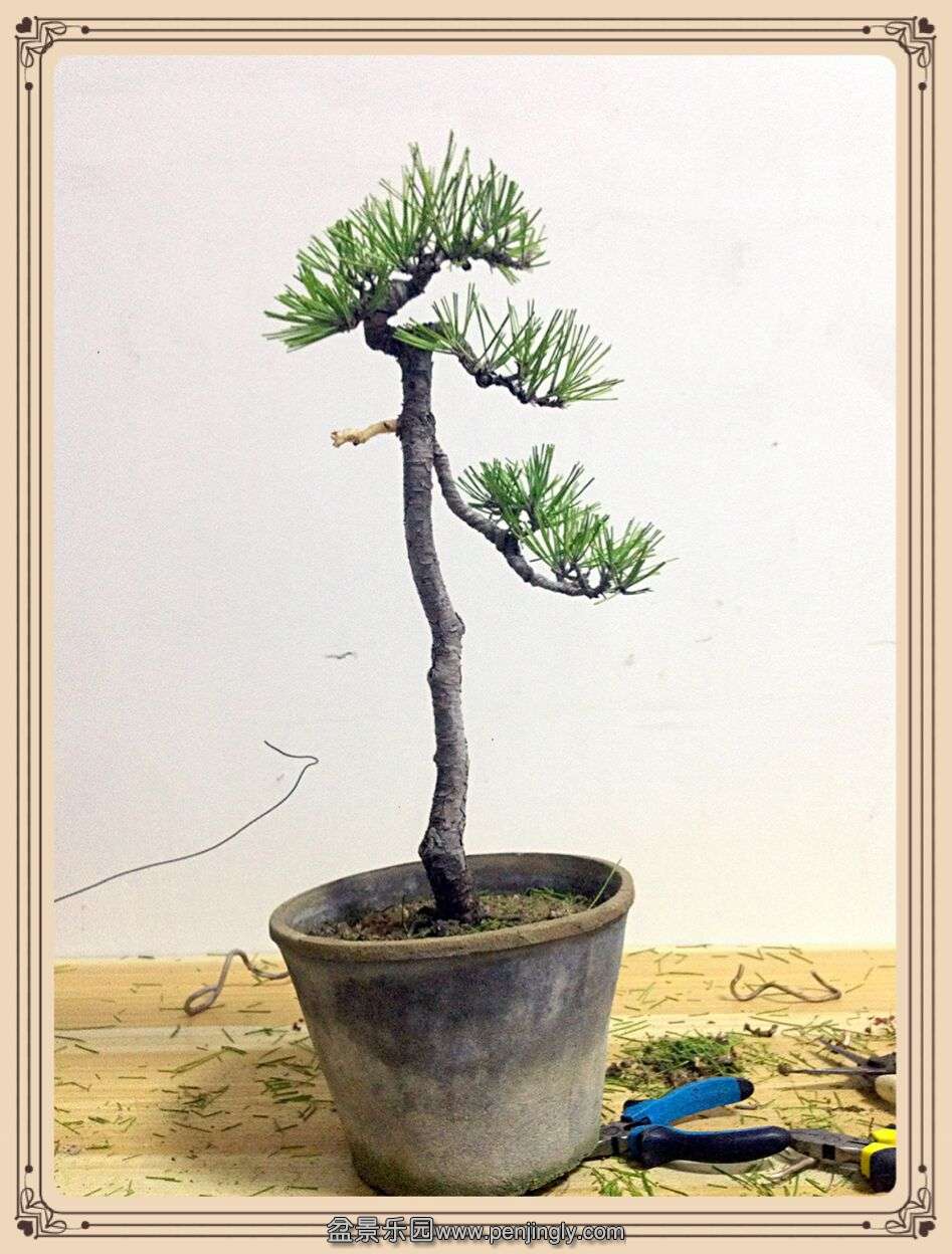 QQͼƬ20151005235915.jpg