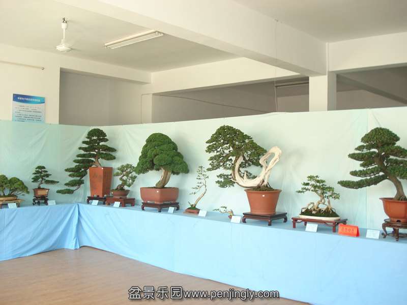 DSC06834.JPG