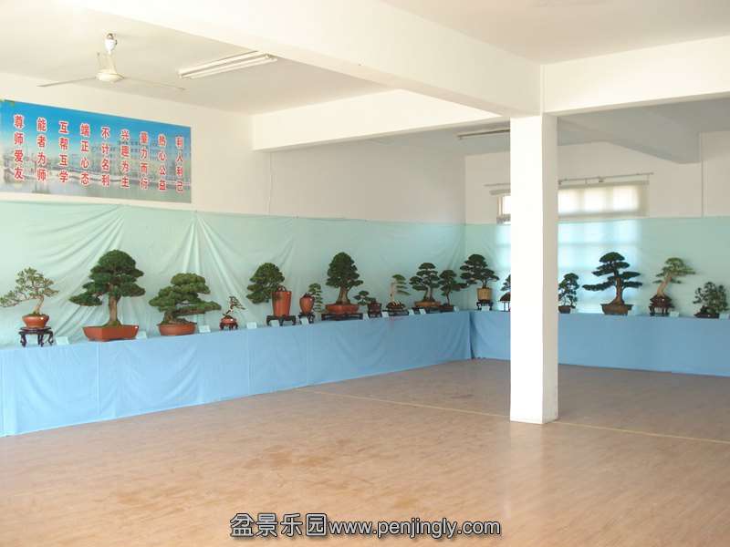 DSC06852.JPG