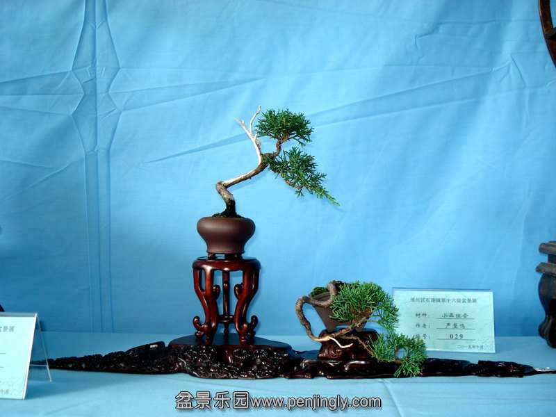 DSC06829.JPG