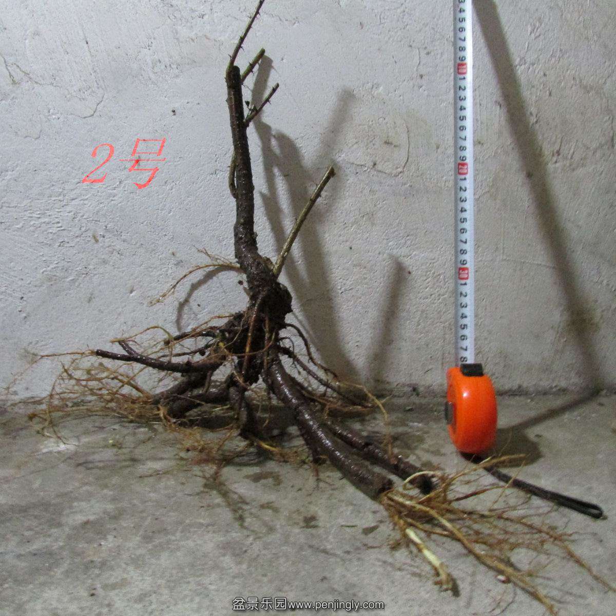 h 671.jpg