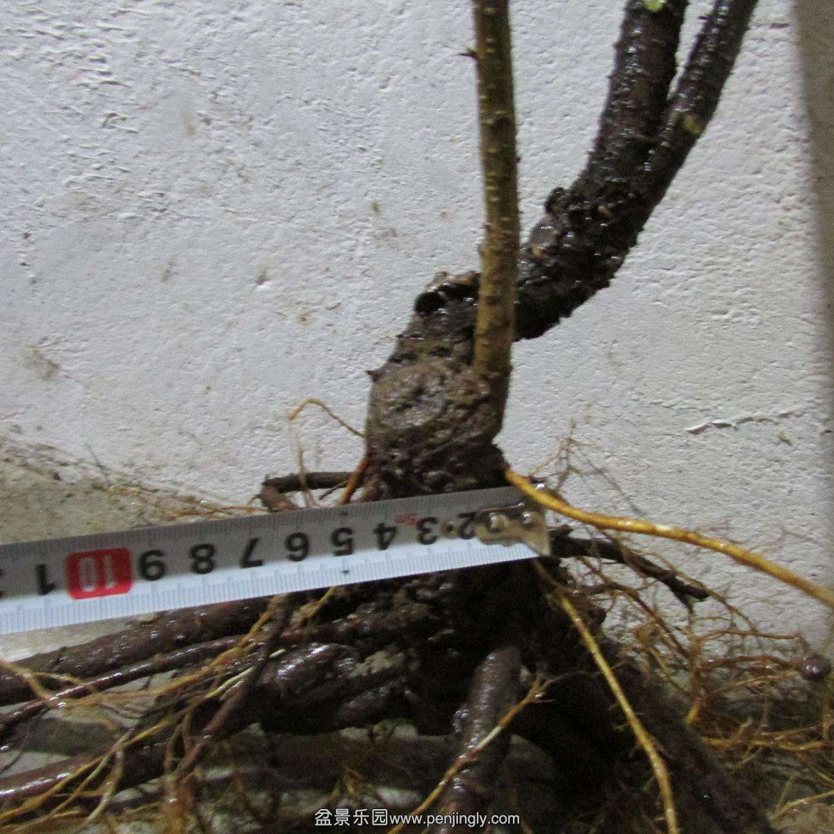 h 673.jpg