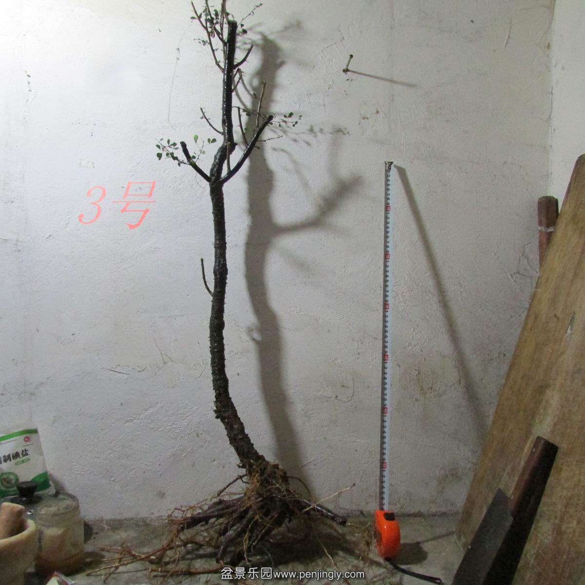 h 676.jpg