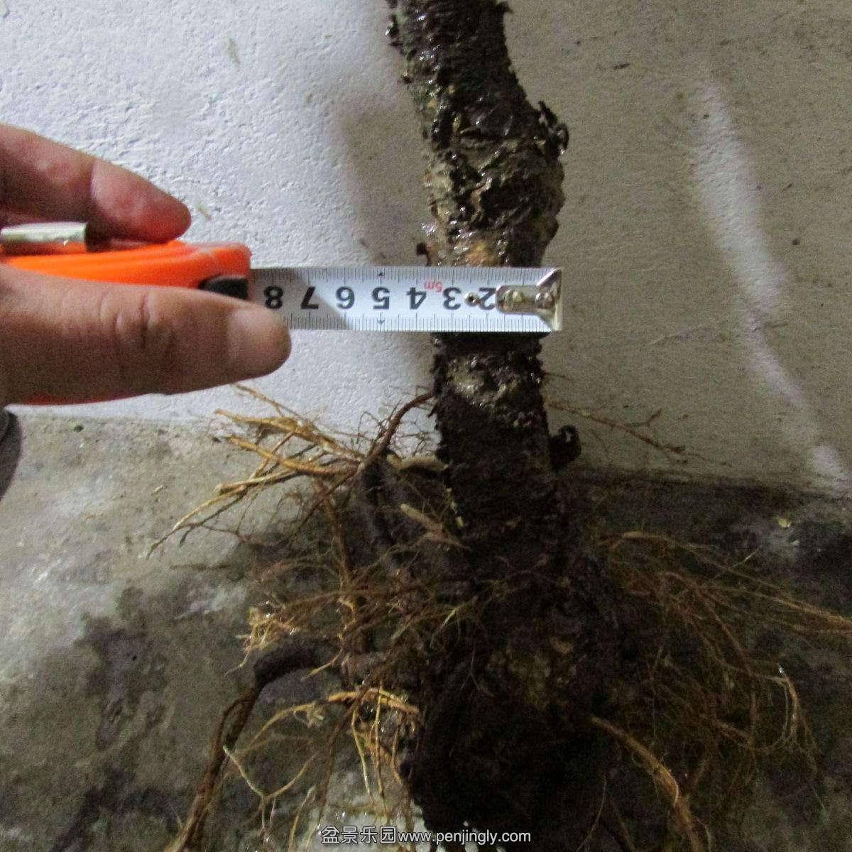 h 679.jpg