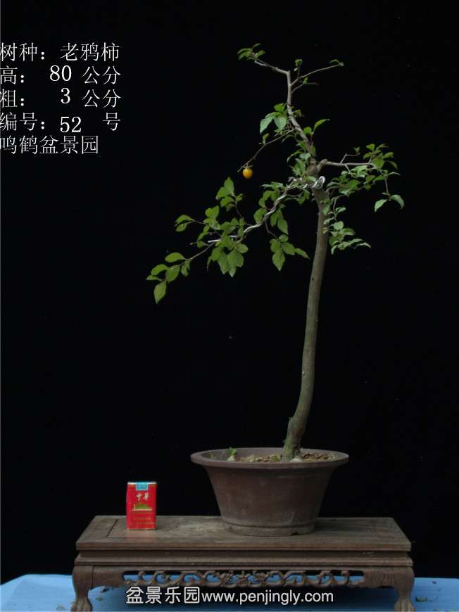 GEDC3060.JPG