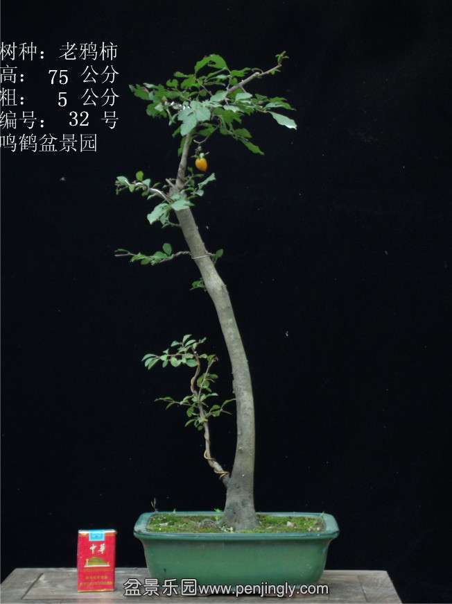 GEDC2912.JPG