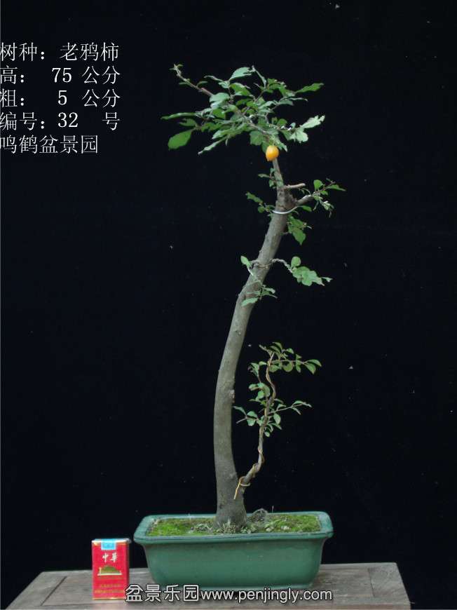 GEDC2914.JPG