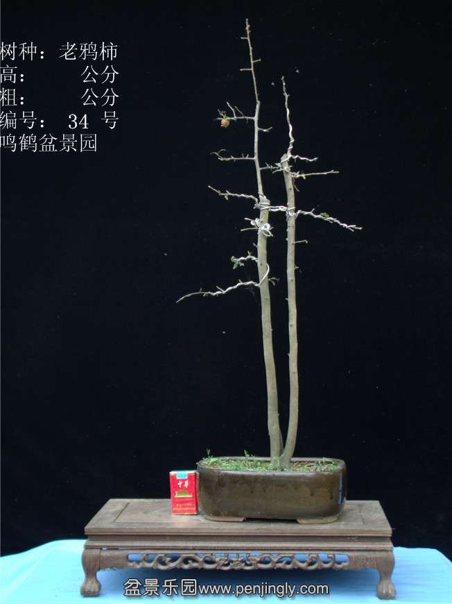 GEDC2926.JPG