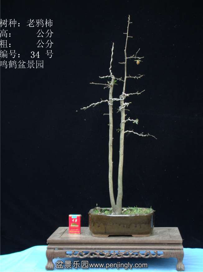 GEDC2929.JPG