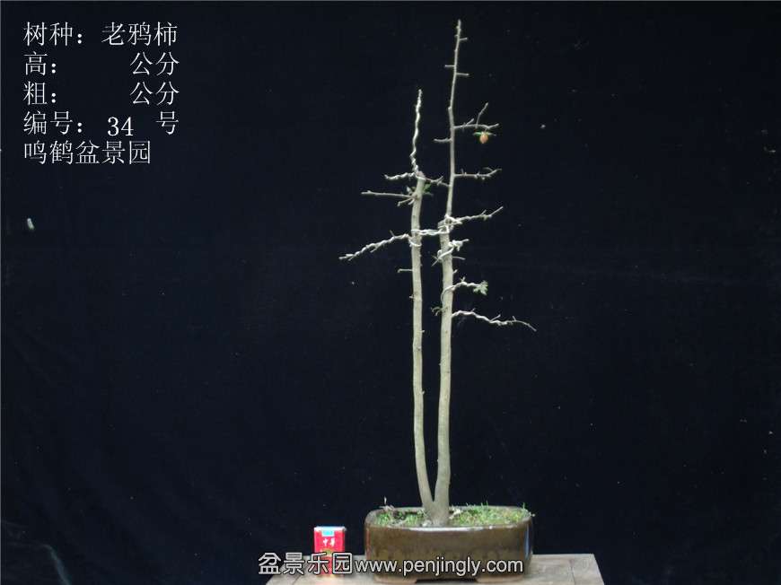 GEDC2930.JPG