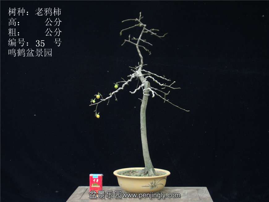 GEDC2932.JPG