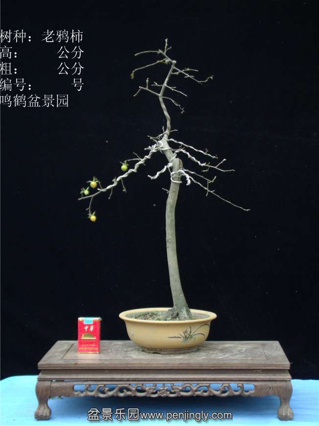 GEDC2935.JPG