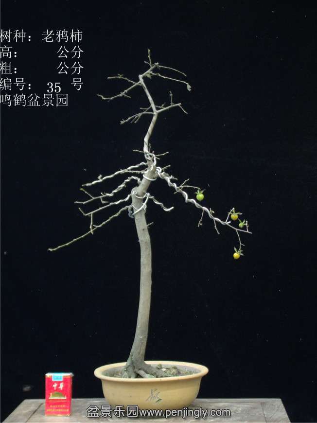 GEDC2937.JPG