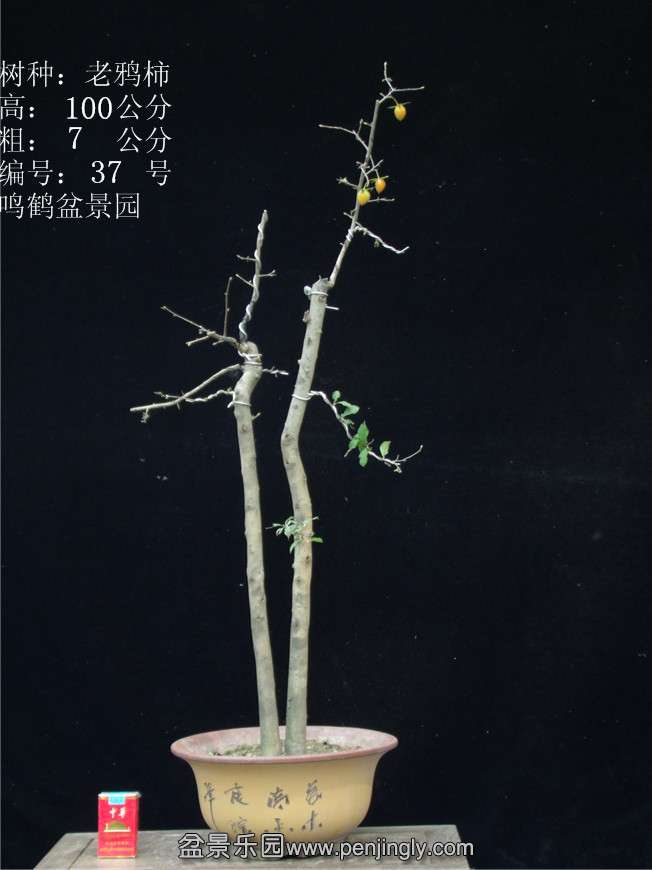 GEDC2948.JPG